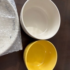 カレープレート2枚　ディズニー耐熱ボウルの画像