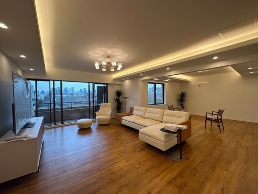 BoConcept Gran Torino グラントリノ ソファ（定価368万円・3年使用・美品・交渉可）