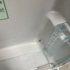  MKT1107109 アイリスオーヤマ 162L 冷蔵庫 一人暮らし 小型の画像