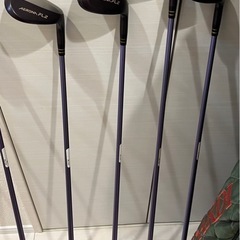 ゴルフクラブ10本の画像