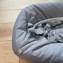 ストッケ　ベビーボーン　グレーの画像