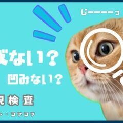 【2交替制】未経験OK！冷暖房完備のクリーン工場で検査作業の画像