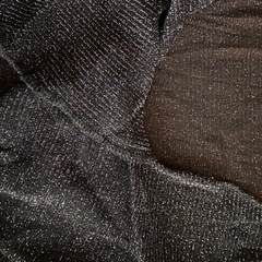 ラメシースルーのボレロの画像