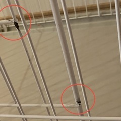 ペット用ゲージ1段の画像