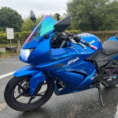 ninja250rの画像