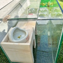 45cmハムスター用ガラス水槽の画像