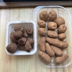 野菜セットBの画像