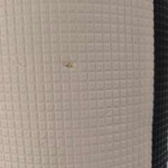 プレイマット ベビーマット 厚手 防水  防音 床暖房対応 動物電車柄 傷ありの画像