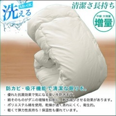 日本製　掛敷布団セット2組　洗濯OK 掛け
布団+敷布団2セットの画像