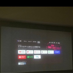 ネブラコスモスの画像