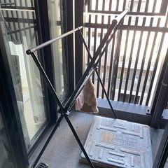 アイリスオーヤマ 物干しスタンド STM-920（伸縮タイプ）の画像