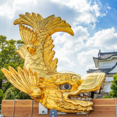 ※埋まり次第終了【名古屋市】ダンプ運転手《経験者優遇》高日給でガッツリ稼げます！の画像