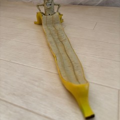 バナナデザイン　ファニーなお香スタンドの画像