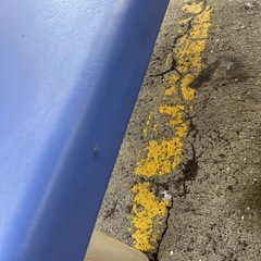 エステベッド
の画像