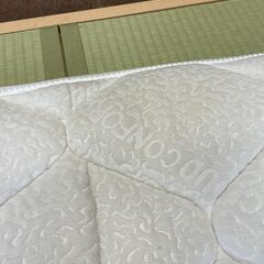 magniflex　エルゴトッパー（S）　No.206の画像