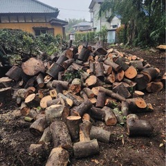 薪ストーブなど用に🌲の画像