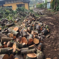 薪ストーブなど用に🌲の画像