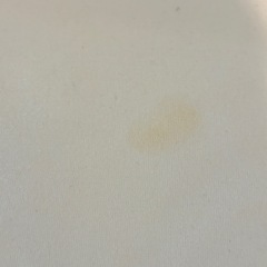 フォルスカ　ベッドインベッドの画像