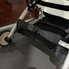 サイベックス リベル 2024の画像