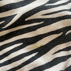 80サイズの画像