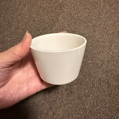 【食器】白い食器をまとめましたの画像