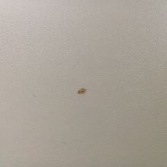 ★リユースのサカイつくば店★TK7288  デスク ホワイト H70×D60×W120 クリーニング済みの画像