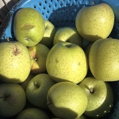 【ハネ出し】王林10個の画像