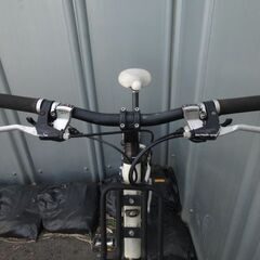 LOUIS GARNEAU（ルイガノ）LGS-MV 2 PRO　ミニベロ　小径サイクル　管理NO.20251114-19の画像