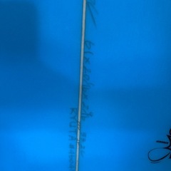 サーフボード6.1ft (付属品多数)の画像