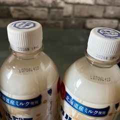 ［アミューズメント商品］カルピス　ザリッチ４本
の画像