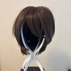 ウィッグ（アンベリール）の画像