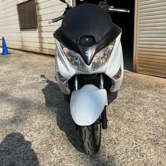 エンジン始動動画あり　堺市堺区バーグマン200の画像