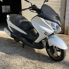 エンジン始動動画あり　堺市堺区バーグマン200の画像