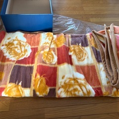 未使用　毛布　マリオバレンチノの画像