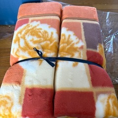 未使用　毛布　マリオバレンチノの画像