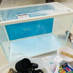 【フルセット】GEX 水槽S 小物　セット　まとめ　エサ　未使用　海老　エビ　飼育　ポンプ　知育　子育て　生き物　自宅　熱帯魚　趣味　洗浄　接着剤　網　すり鉢の画像