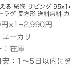 【使用期間短】ラグ 洗える 絨毯 95×140 カーペットの画像
