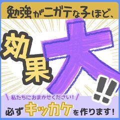 【宮崎県児湯郡川南町】家庭教師のわっふる（株式会社HAKU）勉強が大っ嫌いな子専門の家庭教師｜45405の画像