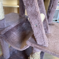 訳あり　キャットタワーの画像