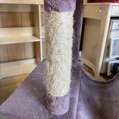 訳あり　キャットタワーの画像