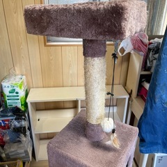 訳あり　キャットタワーの画像