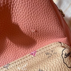 サマンサベガ リュックの画像