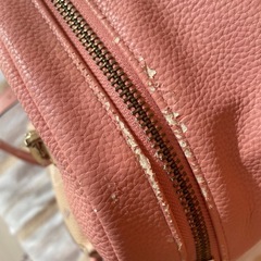 サマンサベガ リュックの画像