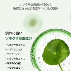 テカクリームミスト　韓国の画像