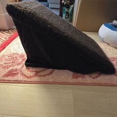 決まりました。ペット用スロープの画像