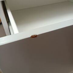 リユースのサカイ栃木店★ジモティ割あり★ IKEA チェスト ホワイト W60×D60×H181 クリーニング済み TC11566の画像