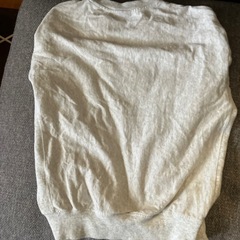 薄手トレーナーの画像