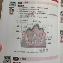 愛玩動物看護師 国家試験 完全対策問題集 2026年版の画像