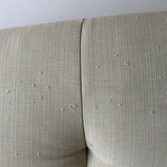 ソファ（ソファベッド）の画像