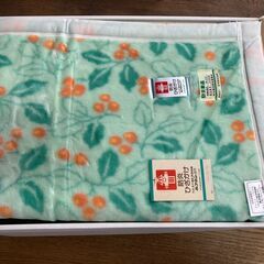 防災ひざかけ　ひざかけ　ひざ掛け　ブランケット　防災　アクリル　ルフネン　毛布　防災製品の画像